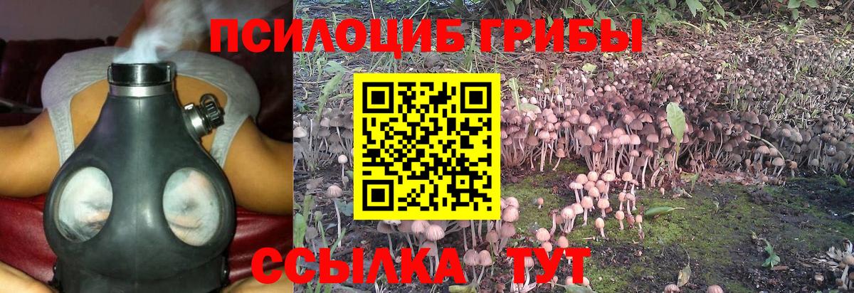Ижевск  купить наркотик  Вход с VPN  Галлюциногенные грибы GOLDEN TEACHER 